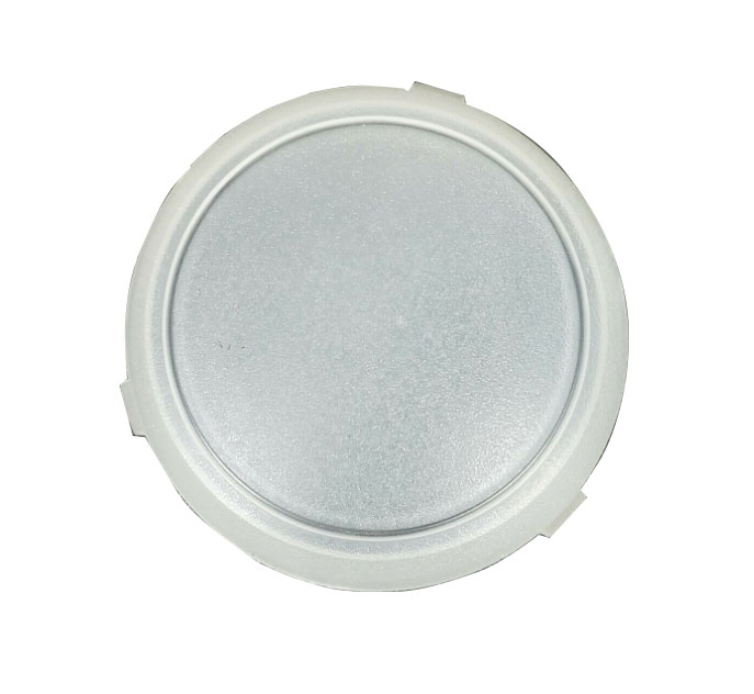 Dome Light Lens 20013679