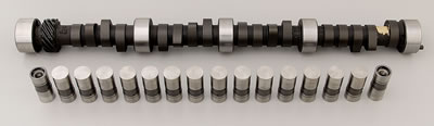 206/206 Cam and Lifters