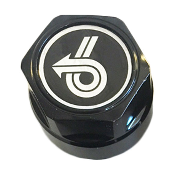 Grand National Power 6 Center Cap Inlay, Silver, Center Cap with snap ring