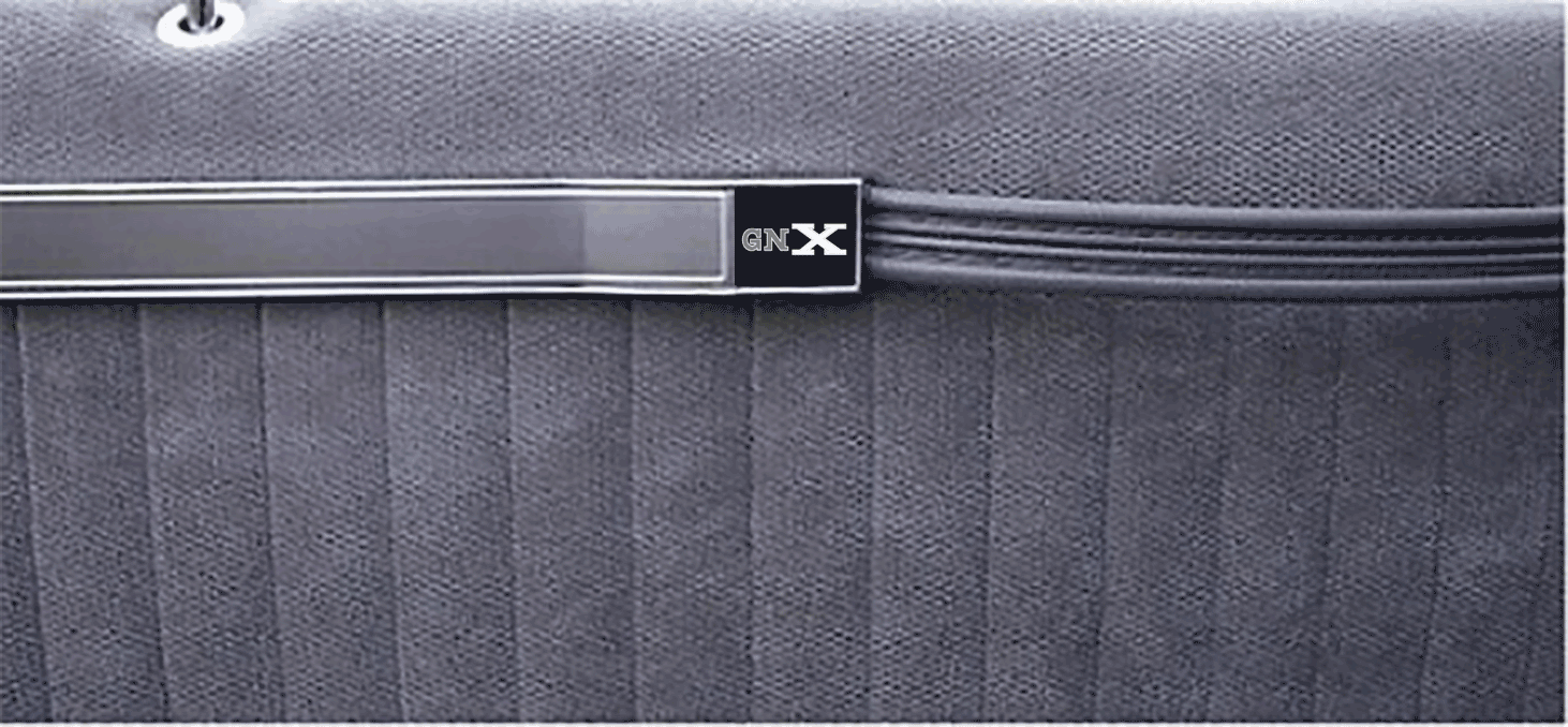 1987 Buick Grand National and T-Type Door Strap Cover Decal Set - GNX silver