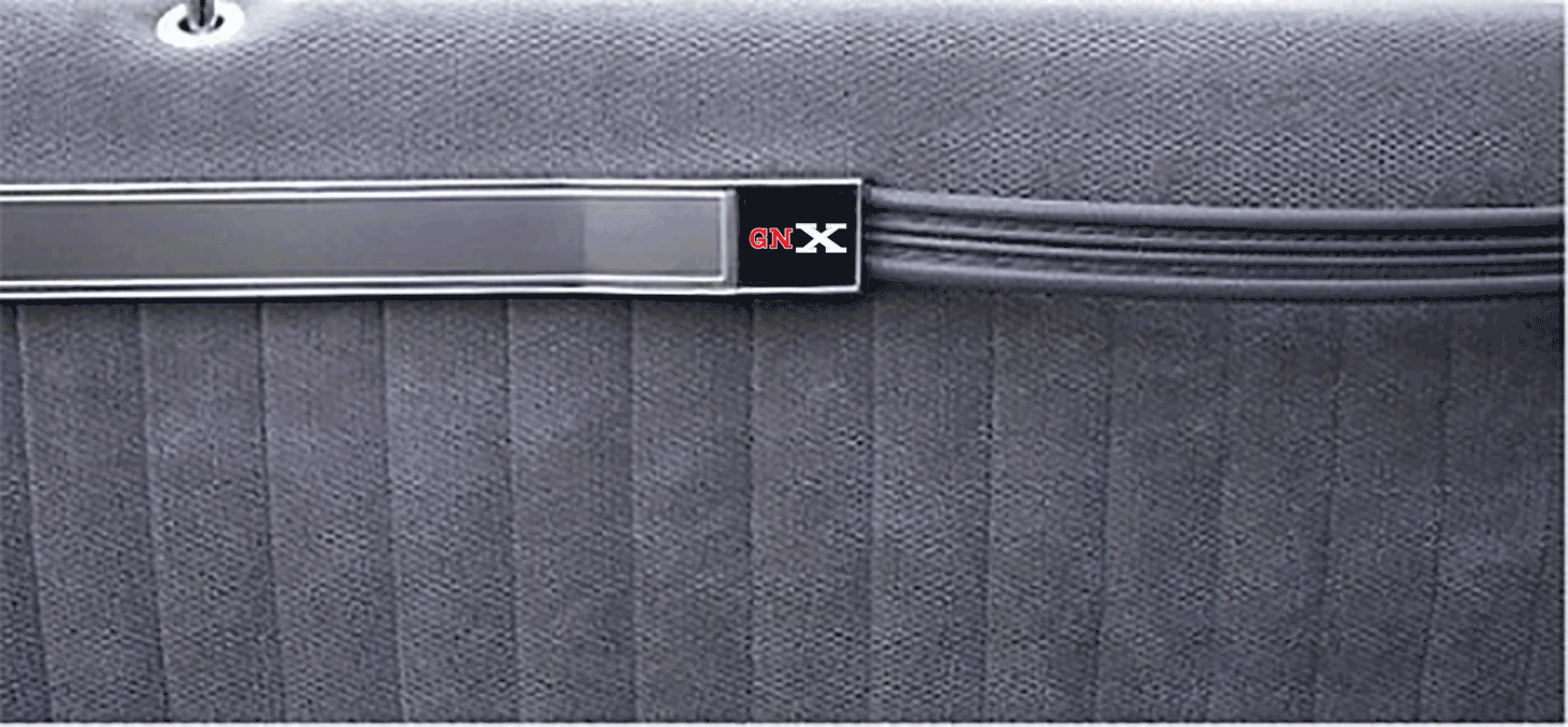 Buick Grand National and T-Type Door Strap Cover Decal Set - GNX color
