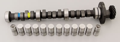 204/214 Edelbrock Cam and Lifters