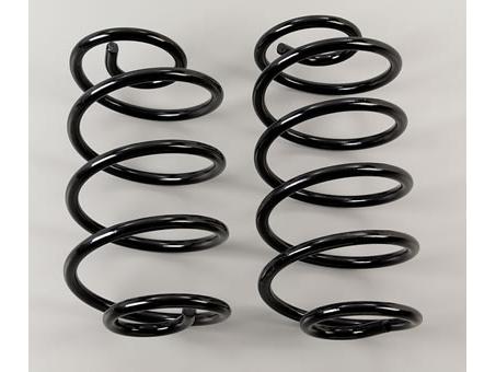 Moroso Trick Rear Springs