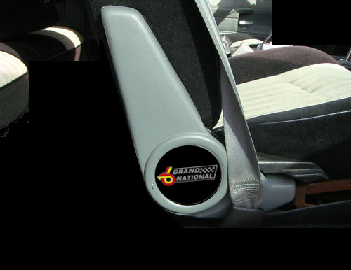 Buick Grand National Bucket Seat Trim  Decals