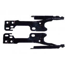 EDP Coated Hood Hinges