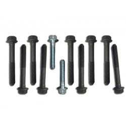 Body Bolts