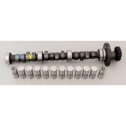 204/214 Edelbrock Cam and Lifters