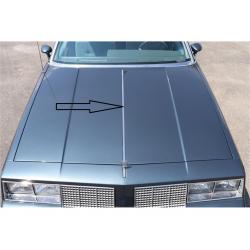 81-88 Cutlass Center Hood Trim and Hood Molding Clips