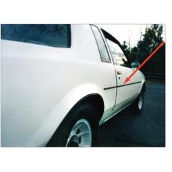 6 Piece Buick Turbo Regal Rubber Body Side Molding Kit