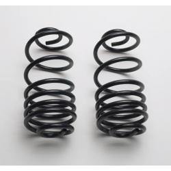 Moog Cargo Control Coil Springs