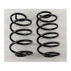 Moroso Trick Rear Springs