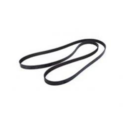 89 TTA Turbo Trans Am Serpentine Belt
