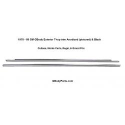 78-88 GBody T-Top Glass Exterior Trim Anodized